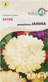 aster-peoniowy-janina-1g-l