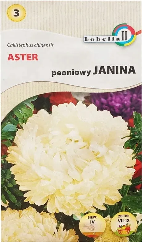 aster-peoniowy-janina-1g-l