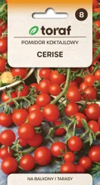 pomidor-koktajlowy-cerise-nasiona-05g-t