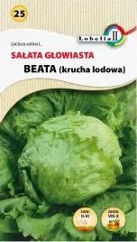 salata-glow-krucha-beata-nasiona-1g-l