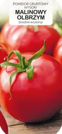 pomidor-malinowy-olbrzym-nasiona-05g-t