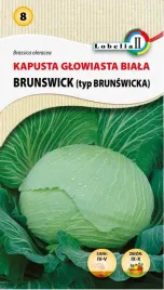 kapusta-brunswick-nasiona-2g-l