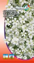 gipsowka-wytworna-biala-1g-l