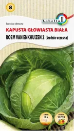 kapusta-roem-van-enkhuizen-2-nasiona-2g-l