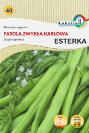 fasola-zwykla-karlowa-esterka-nasiona-40g-l