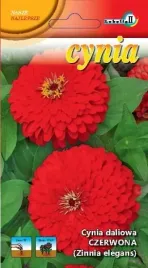 cynia-daliowa-czerwona-zinnia-elegans-1g-l