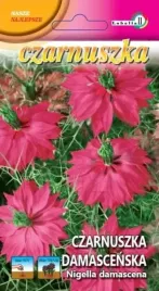 czarnuszka-damascenska-rozowa-1g-l