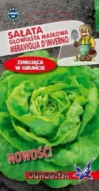 salata-maslowa-meraviglia-d-inverno-2g-o