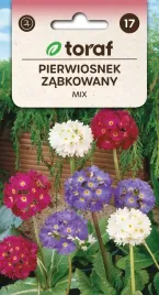 pierwiosnek-zabkowany-mix-nasiona-01g-t