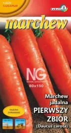 marchew-pierwszy-zbior-wczesna-5g-l