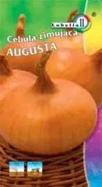 cebula-augusta-1g-l