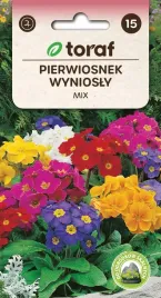 pierwiosnek-wyniosly-mix-nasiona-01g-t