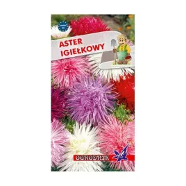 aster-igielkowy-mieszanka-1g-o