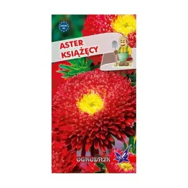 aster-ksiazecy-czerwony-1g-o
