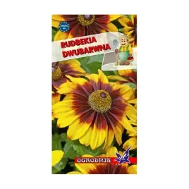 rudbekia-dwubarwna-1g-o