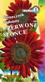 slonecznik-ozdobny-czerwone-slonce-2g-l