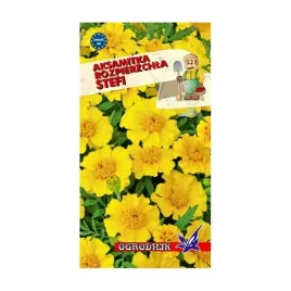 aksamitka-rozpierzchla-stefi-1g-o