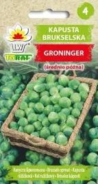 kapusta-brukselska-groninger-nasiona-2g-t