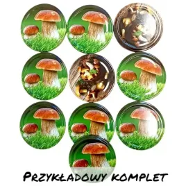 zakretka-wieczko-nakretka-grzyby-mix-6-zaczepowa-82-6-10-szt