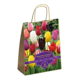 zestaw-prestige-tulipany-polskie-triumph-mix-25-szt-idealny-na-prezent