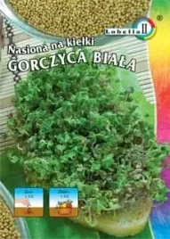 nasiona-na-kielki-gorczyca-biala-30g-l