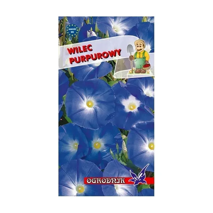 wilec-purpurowy-niebieski-3g-o