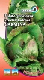 salata-krucha-lodowa-carmina-05g-l