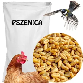 pszenica-ziarno-pokarm-karma-dla-ptakow-1-kg