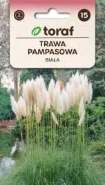 trawa-pampasowa-biala-01g-t