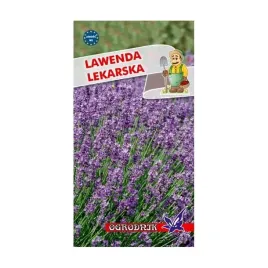 lawenda-lekarska-02g-o