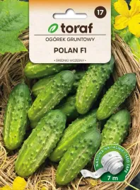 ogorek-polan-f1-tasma-7m-t