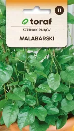 szpinak-malabarski-pnacy-5g-t