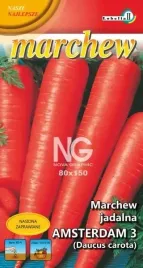 marchew-amsterdam-3-wczesna-3g-l