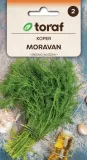 koper-ogrodowy-moravan-5g-t-rodzaj-rosliny-koper