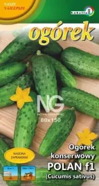 ogorek-konserwowy-polan-5g-l