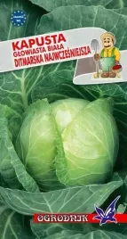 kapusta-biala-ditmarska-najwczesniejsza-2g-o