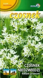 czosnek-niedzwiedzi-02g-l