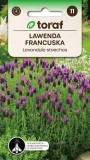lawenda-francuska-01g-t-rodzaj-rosliny-lawenda