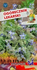 ogorecznik-lekarski-1g-o