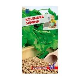 kolendra-siewna-2g-o