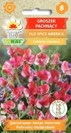 groszek-pachnacy-old-spice-america-1g-t