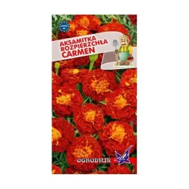 aksamitka-rozpierzchla-carmen-1g-o