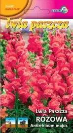 lwia-paszcza-rozowa-05g-l