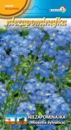 niezapominajka-niebieska-05g-l