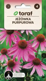 jezowka-purpurowa-1g-t