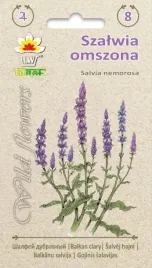 szalwia-omszona-02g-t
