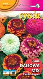 cynia-daliowa-mix-1g-l