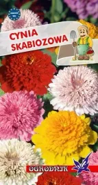 cynia-skabiozowa-mix-1g-o