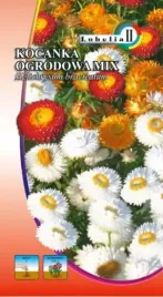 kocanka-ogrodowa-mix-1g-l