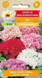 godecja-wielkokwiatowa-mix-1g-t